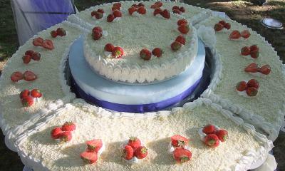 Particolare Torta Fragole